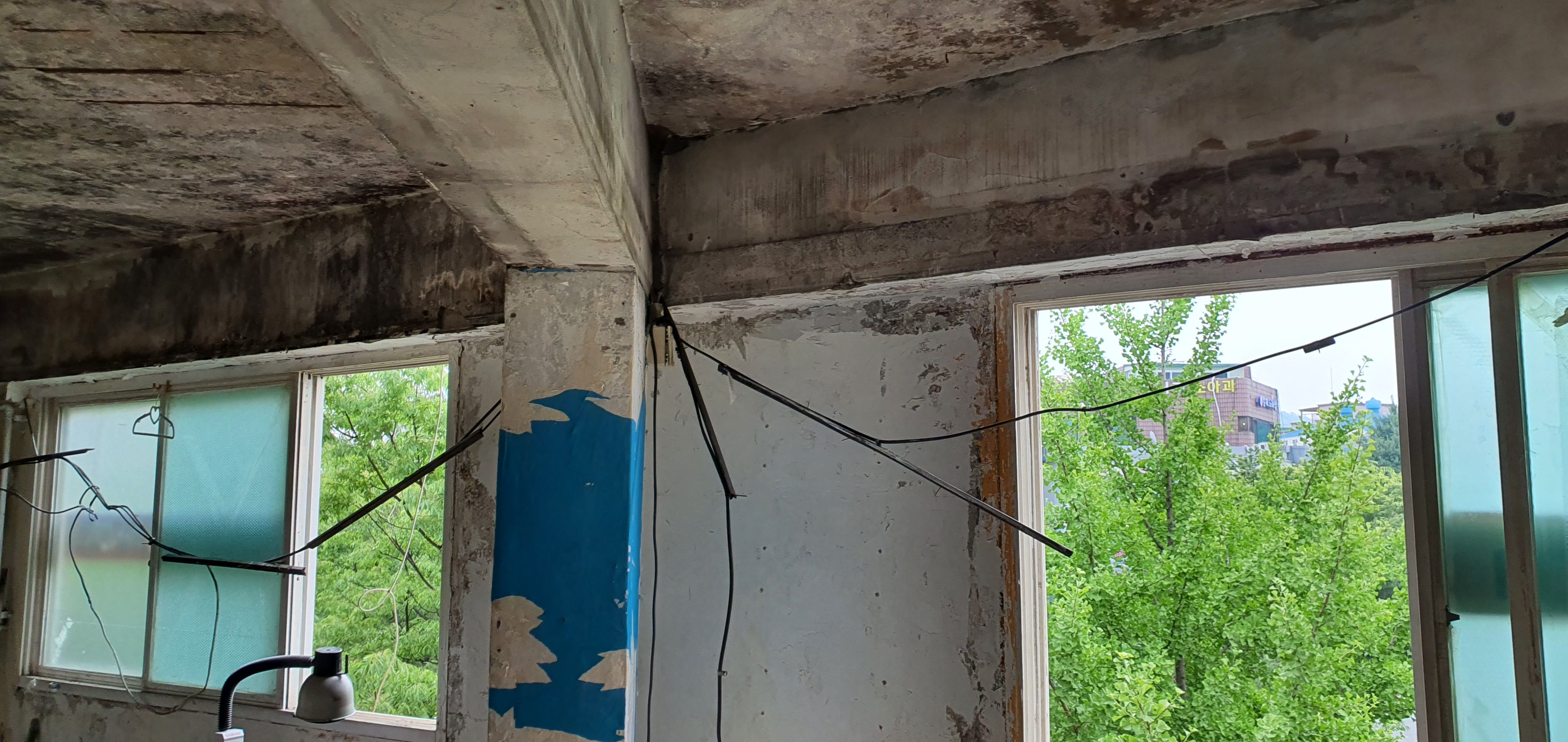 /user/m/mrpower/editor/2207/c5d00081b4f9cb1f85c8f492329631bb_1657452320_8851.jpg 이미지크게보기