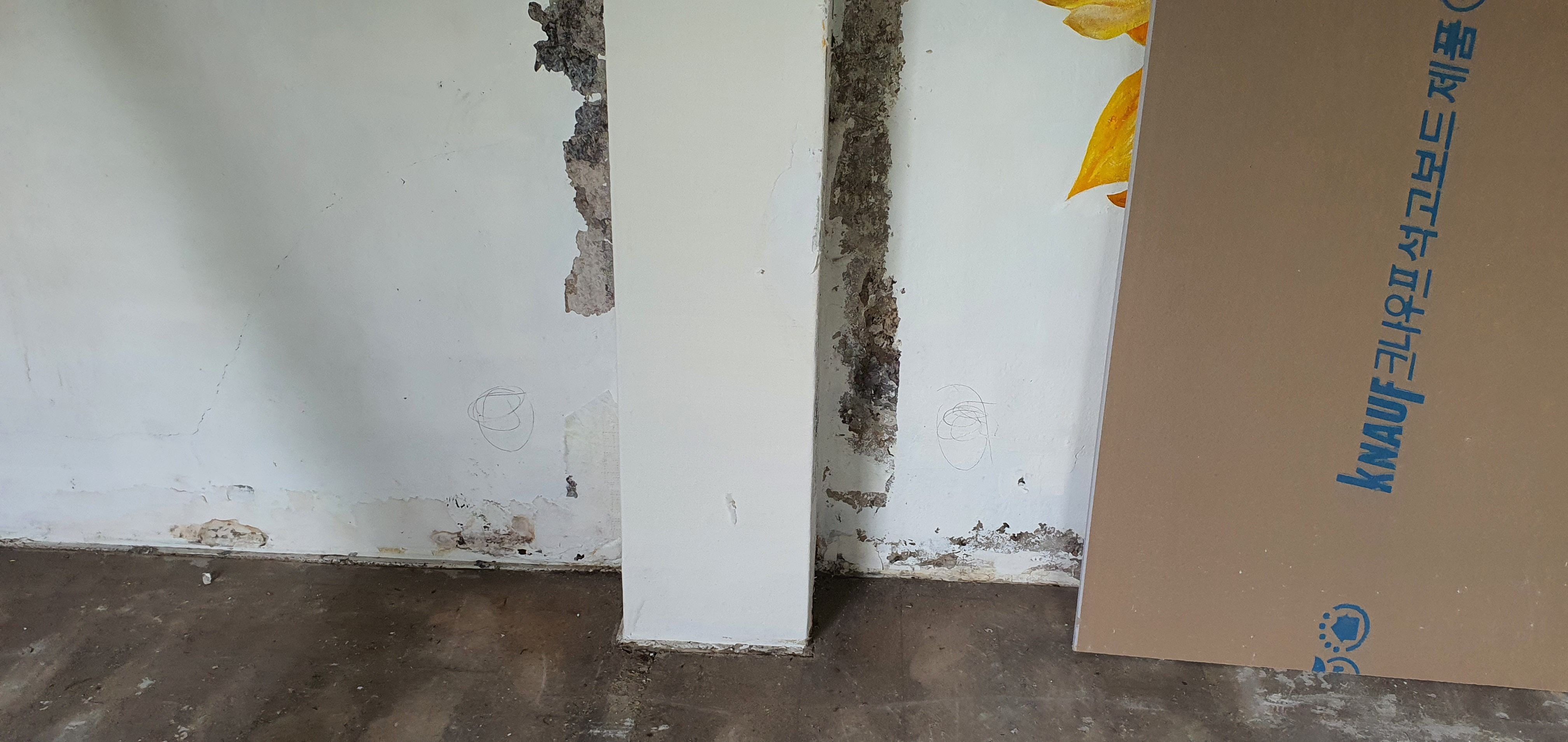 /user/m/mrpower/editor/2207/c5d00081b4f9cb1f85c8f492329631bb_1657452321_7086.jpg 이미지크게보기